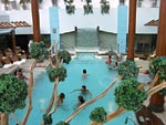 Tholasso Therapy Pool